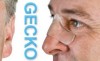 GECKO NASALE 